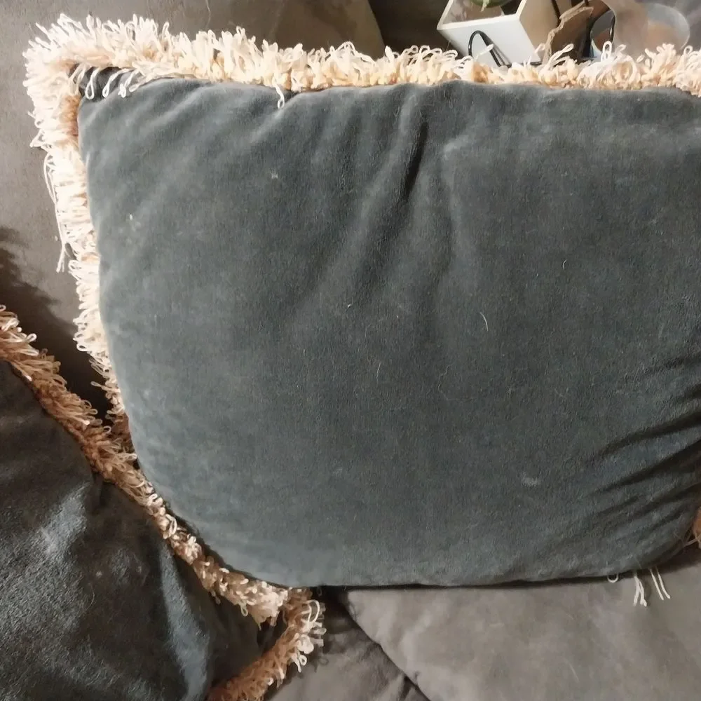 Elegant Gray Throw Pillows with Fringe